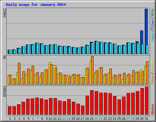 Daily usage for January 2024