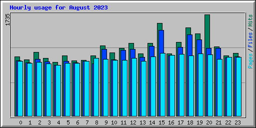 Hourly usage for August 2023