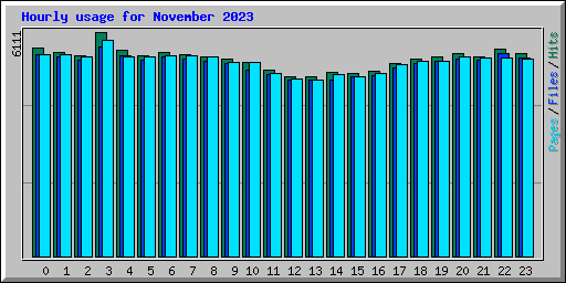 Hourly usage for November 2023