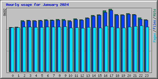 Hourly usage for January 2024