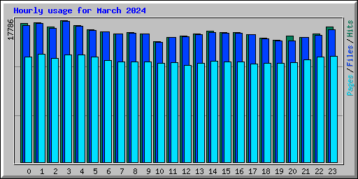 Hourly usage for March 2024