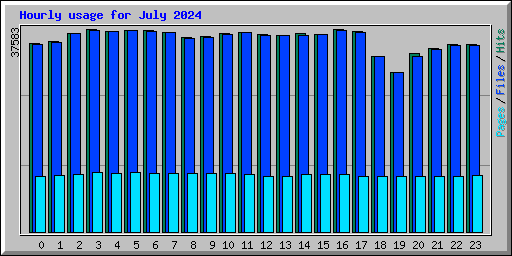 Hourly usage for July 2024