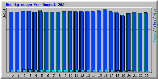 Hourly usage for August 2024